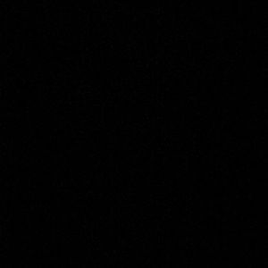 Meet your Posher, Carolina